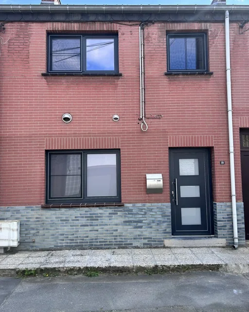 Vue d’ensemble des châssis foncés et de la porte assortie sur une façade en briques